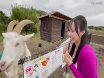 【不倫】  いつでもどこでも人妻オナホール温泉旅行 藤原真帆